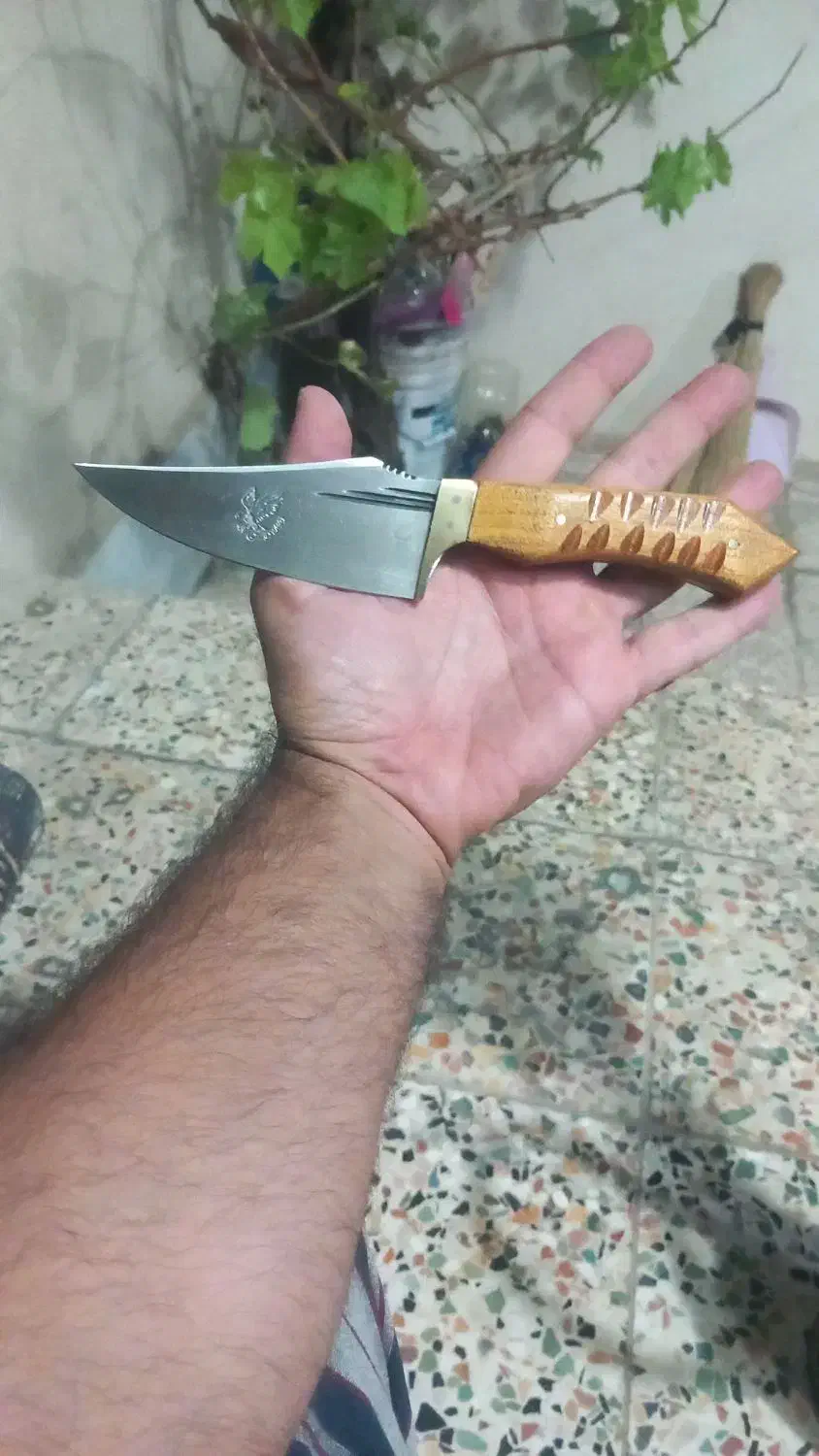 چاقو نو وتمیز|کوهنوردی و کمپینگ|محمدیه-قزوین, |دیوار