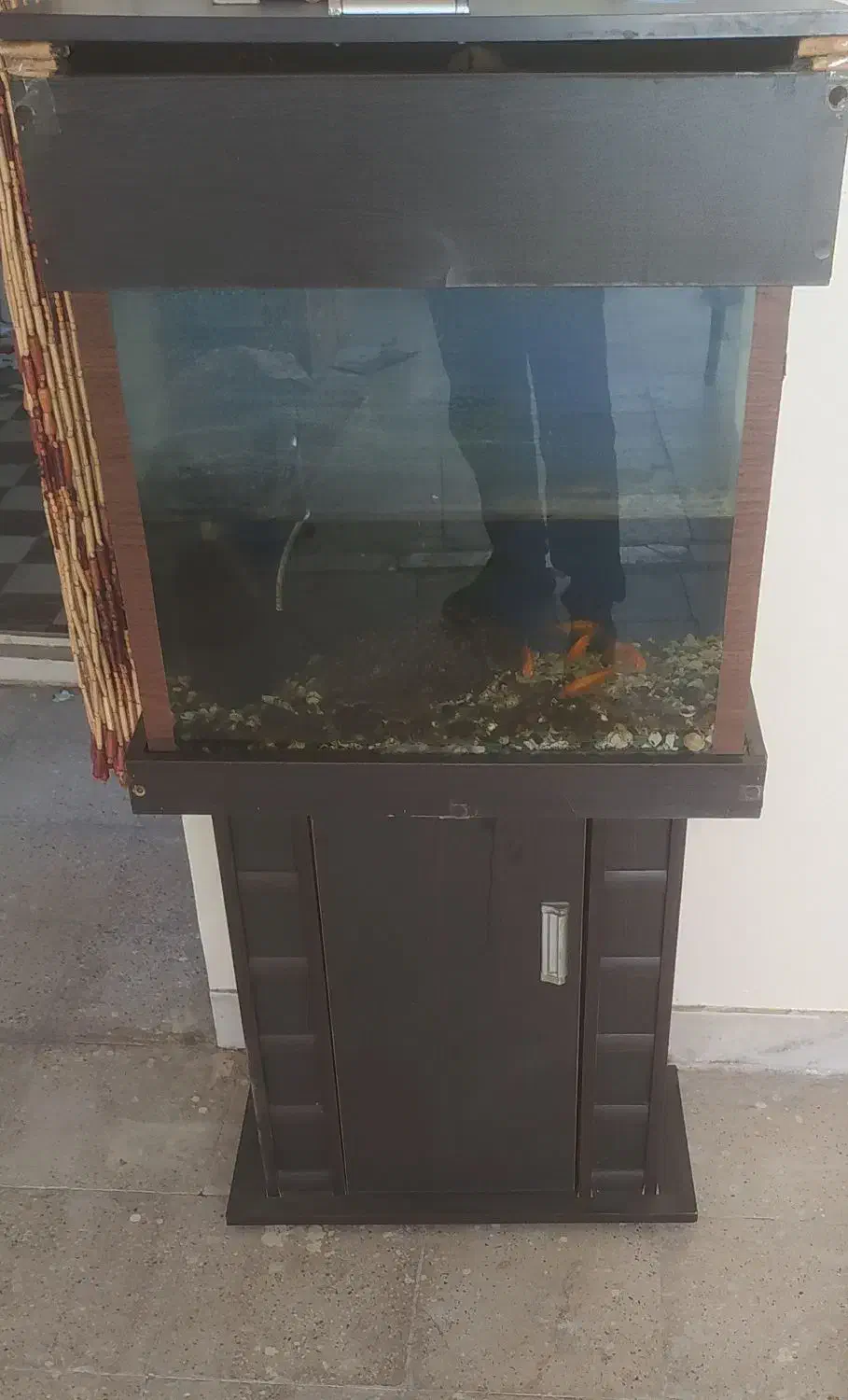 لوازم فروشی|حراج|ری, دیلمان|دیوار