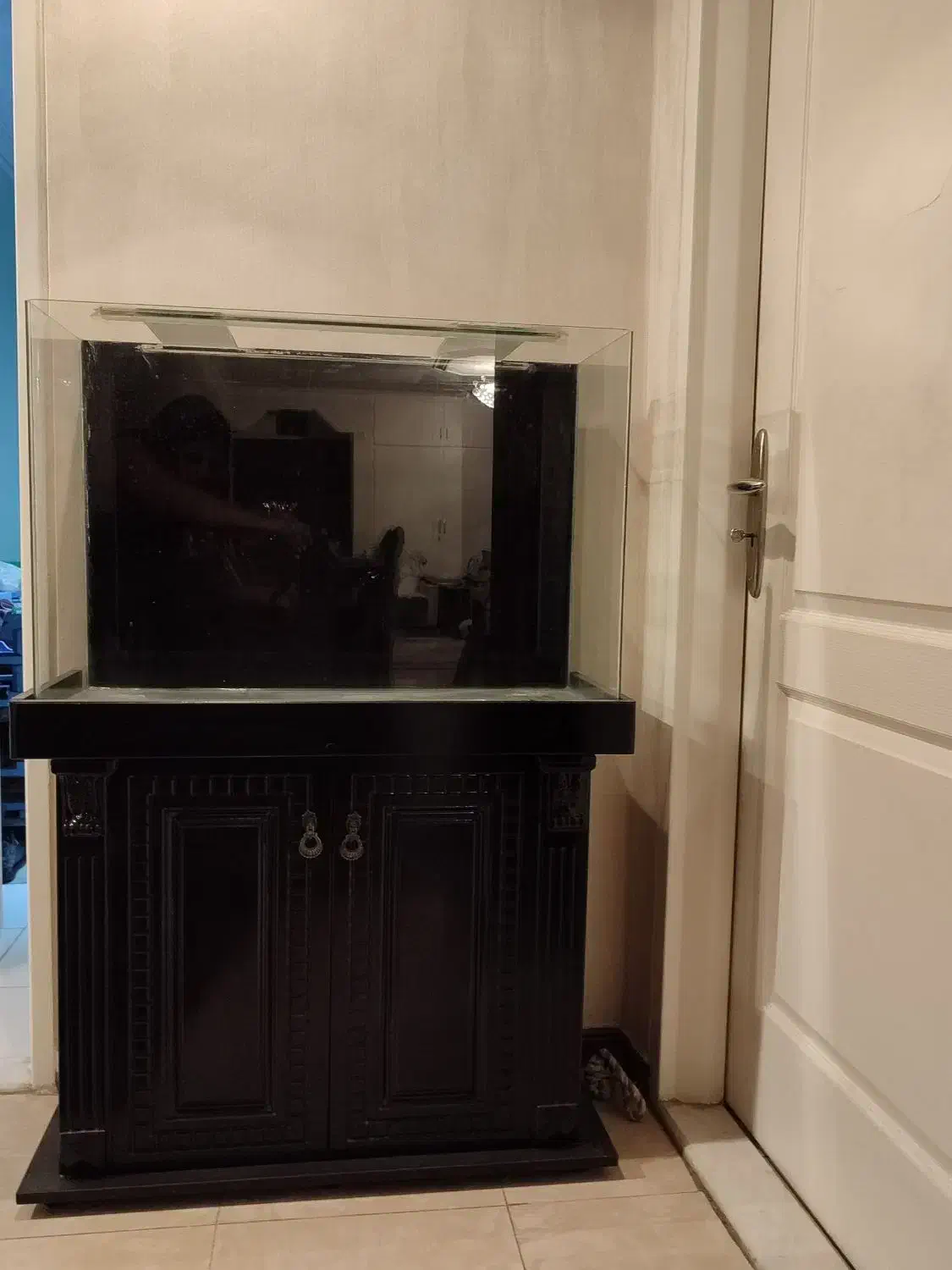 آکواریم|ماهی|تهران, کوی بیمه|دیوار