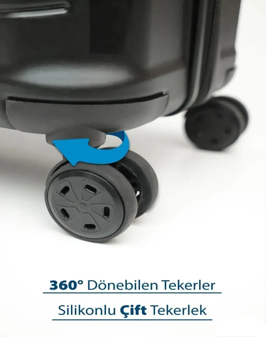 چمدان|کیف، کفش، کمربند|قم, چهل درخت‎|دیوار