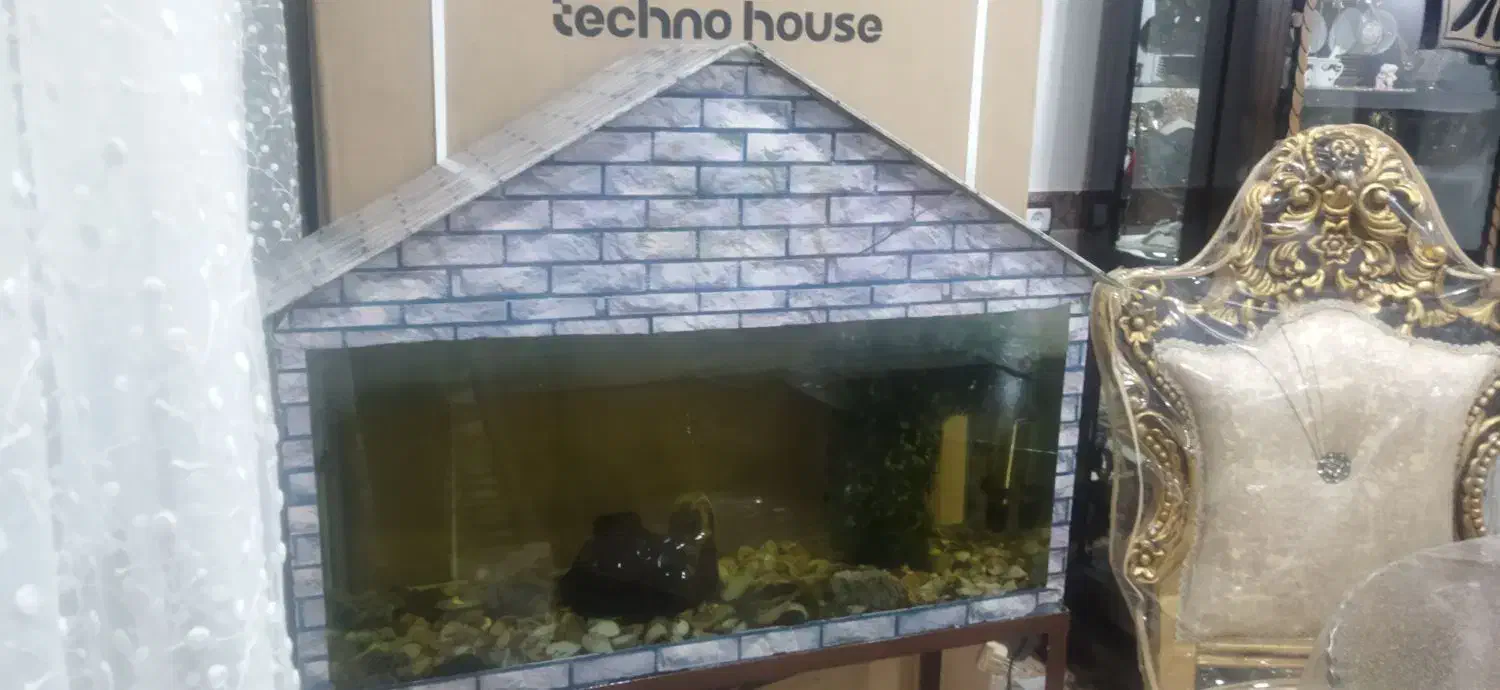 اکواریوم|ماهی|خرمآباد, |دیوار