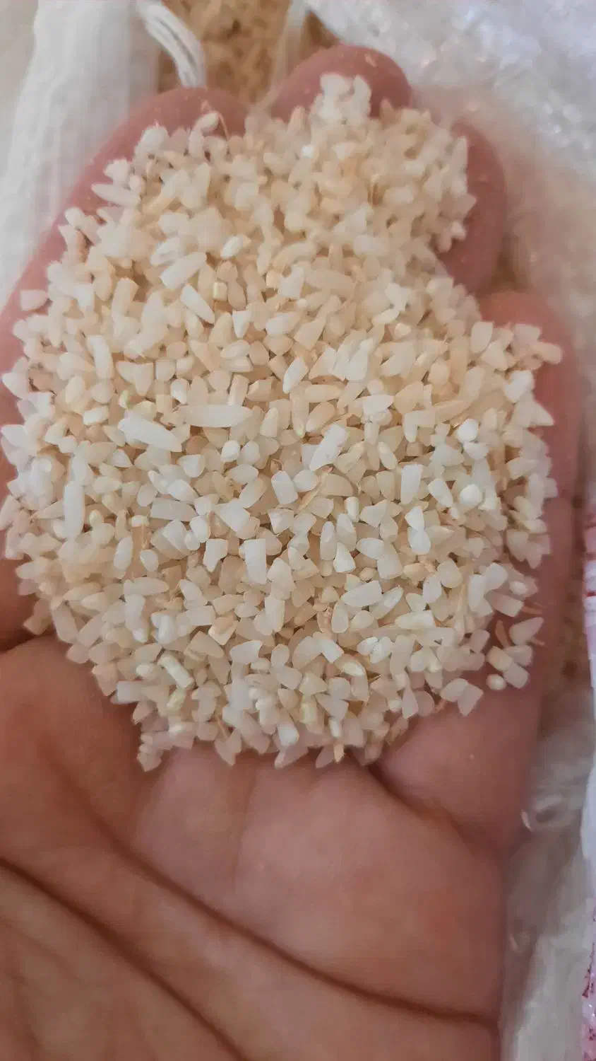 ۲۲کیلو نمیدانه هاشمی|خوردنی و آشامیدنی|رشت, پل تالشان|دیوار