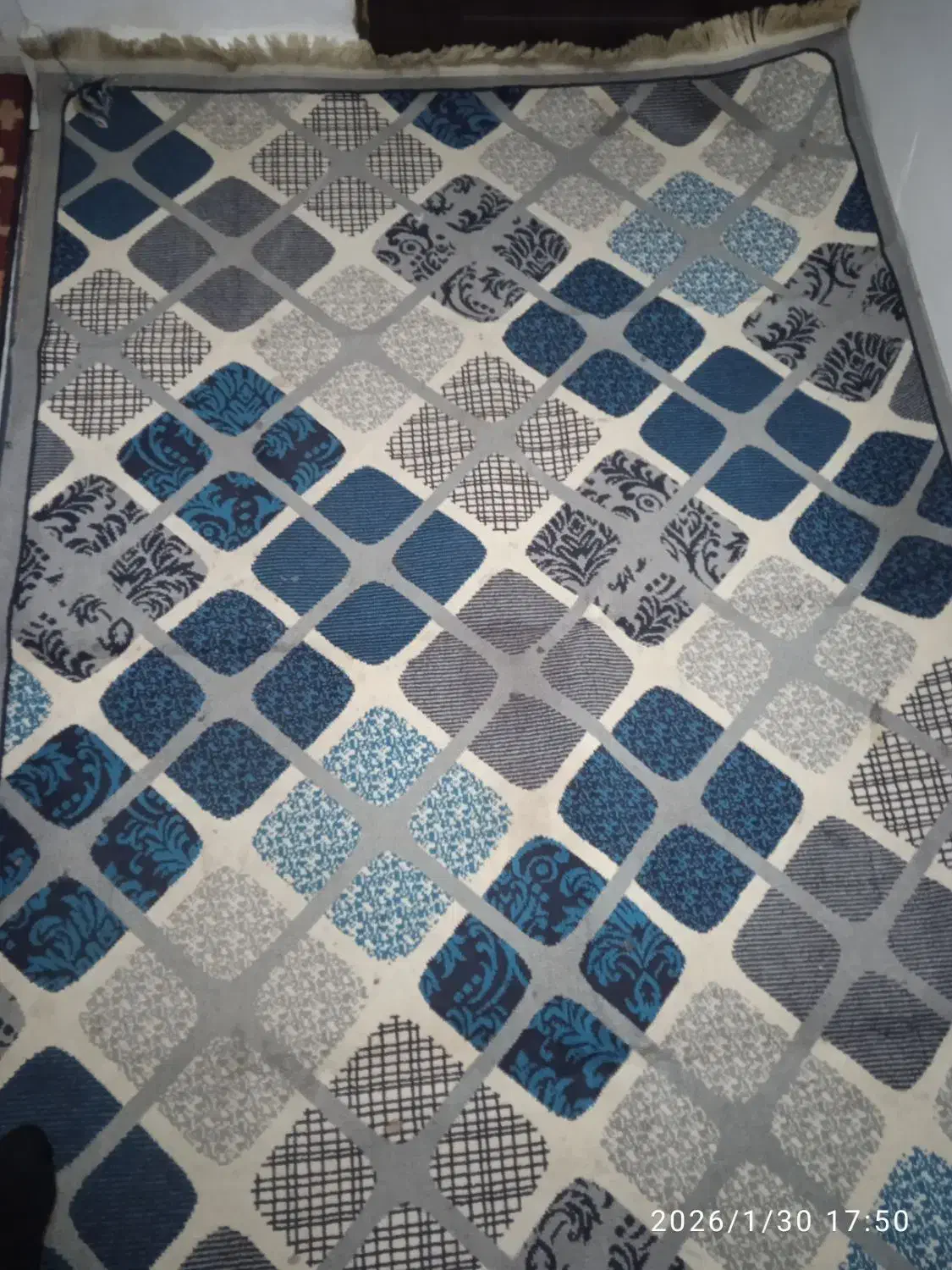 گیلم فرش 6 متری|گلیم، جاجیم، گبه|رشت, پل تالشان|دیوار