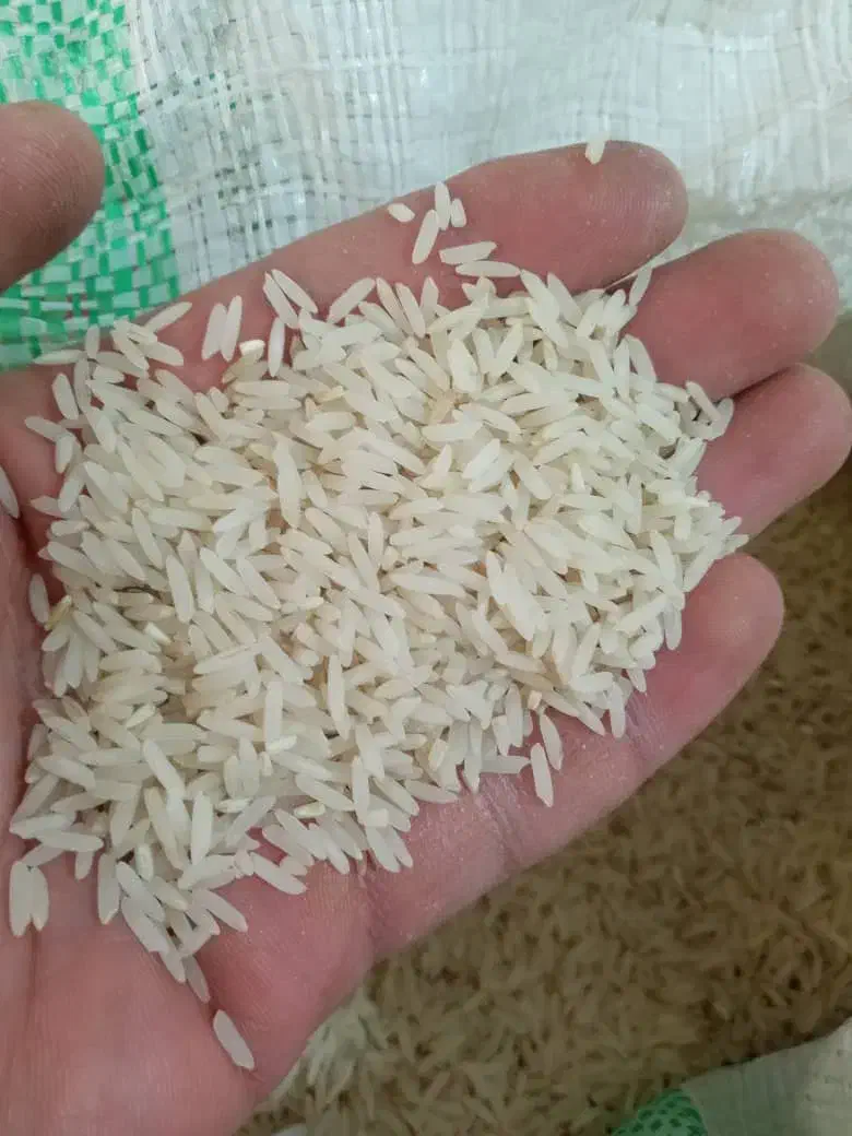 برنج طارم هاشمی|خوردنی و آشامیدنی|رباط‌کریم, نصیرشهر|دیوار