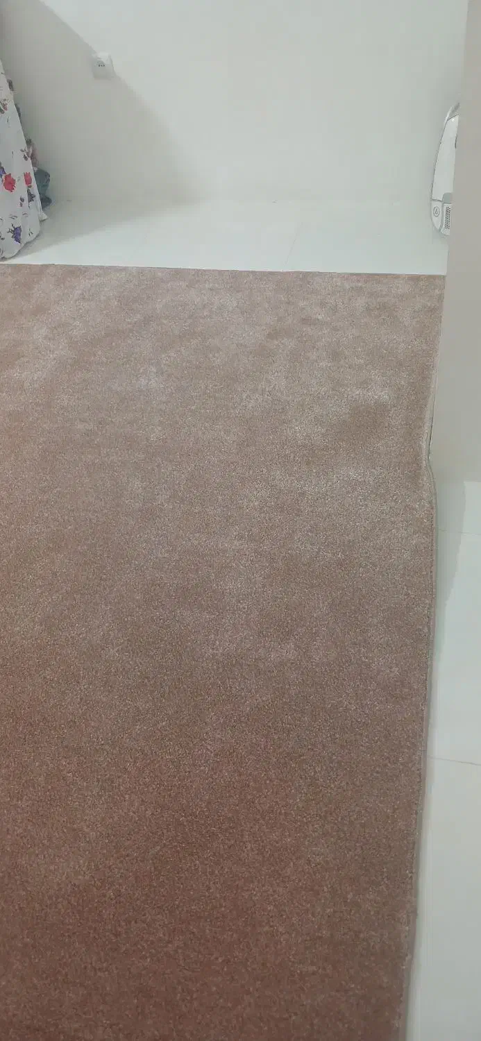 پالاز موکت|موکت|زنجان, |دیوار