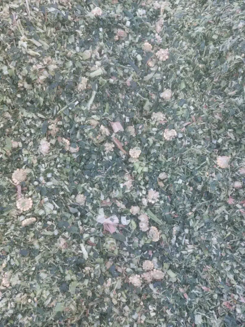 ذرت سیلو ذرت علوفه ای خوراک دام کاه گندم|لوازم جانبی حیوانات|رشت, لاکانی|دیوار