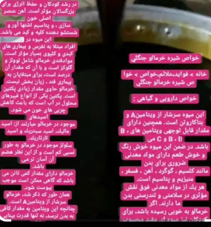 دوشاب جنگلی|خوردنی و آشامیدنی|رشت, آب و برق|دیوار