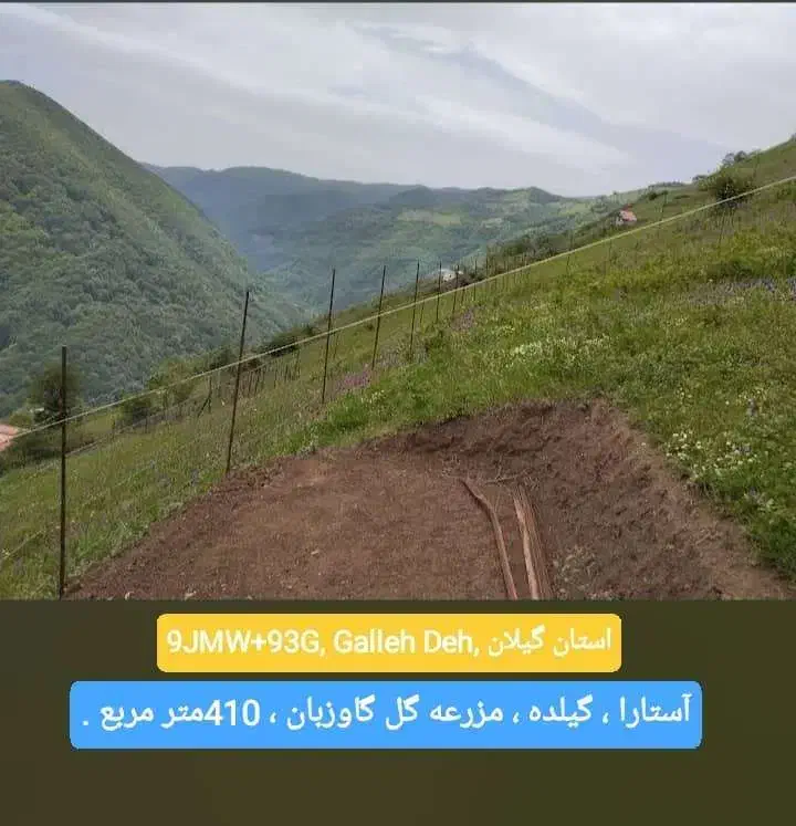 فروش مزرعه گل گاوزبان در گیلده گردنه حیران.|فروش زمین و ملک کلنگی|آستارا, |دیوار