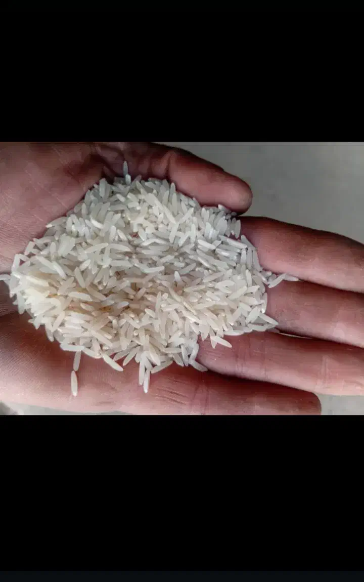 برنج مازندران اصل مستقیم از کارخانه|خوردنی و آشامیدنی|مشهد, الهیه|دیوار