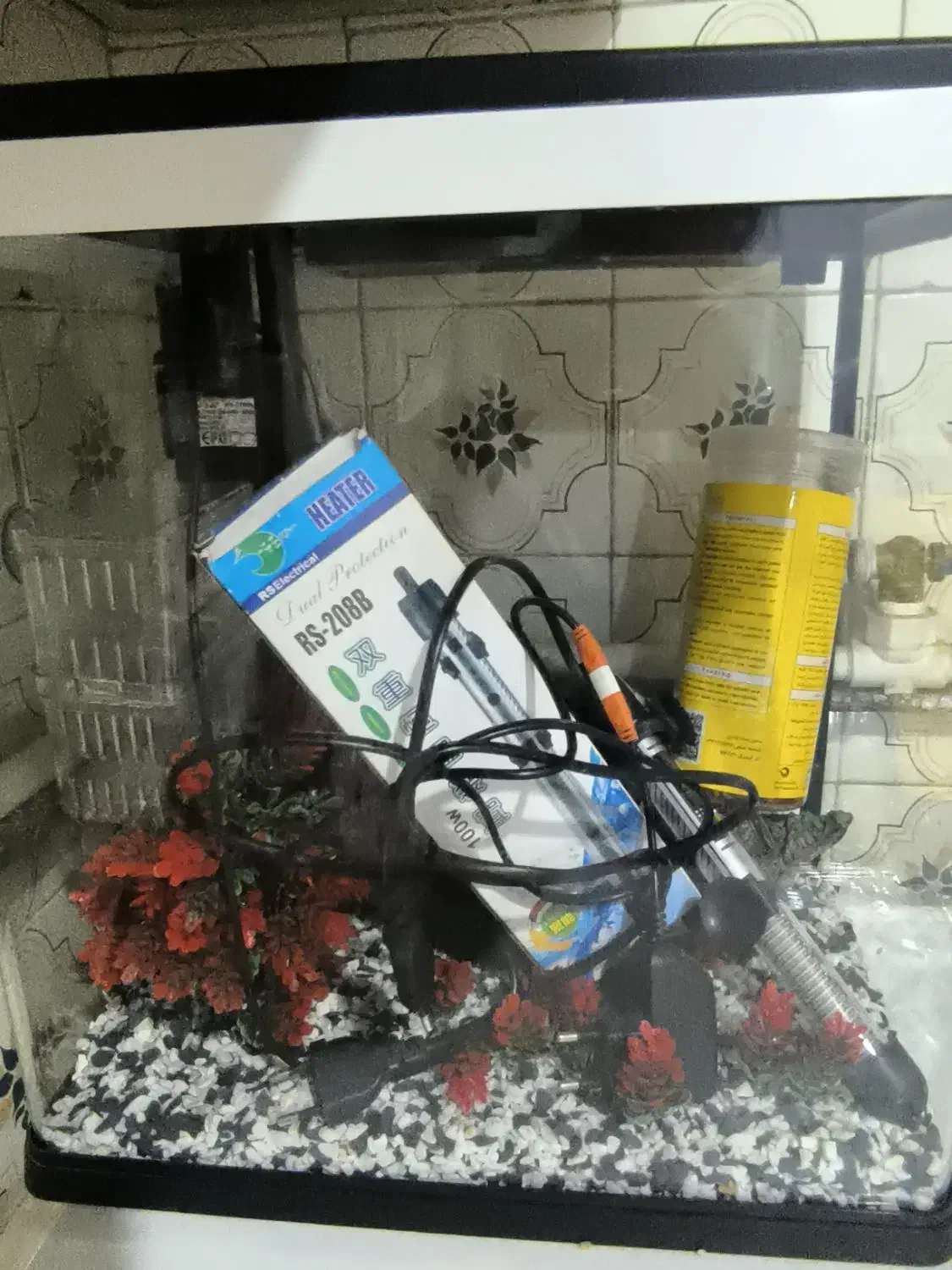 اکواریوم|ماهی|تهران, افسریه شمالی|دیوار