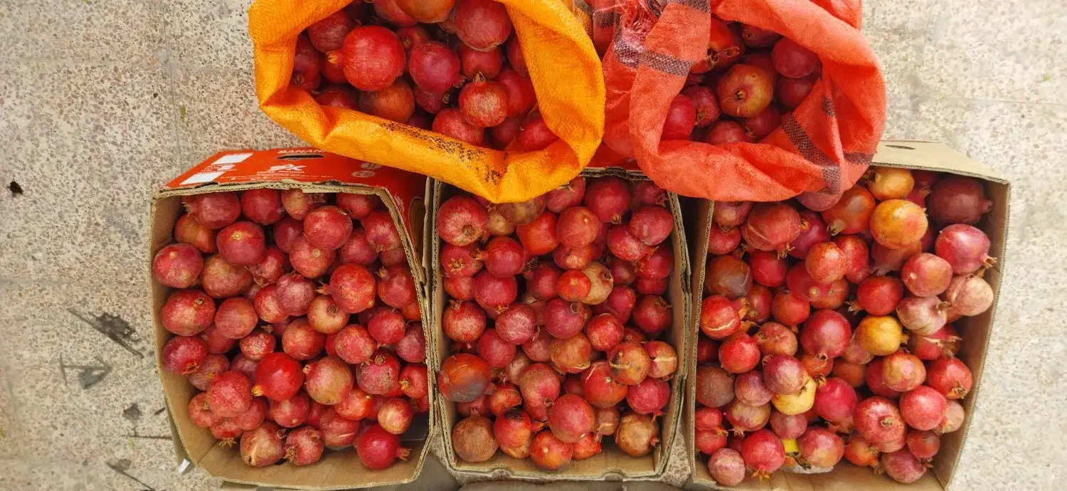 فروش انار ملس درجزین|خوردنی و آشامیدنی|مهدی شهر, |دیوار