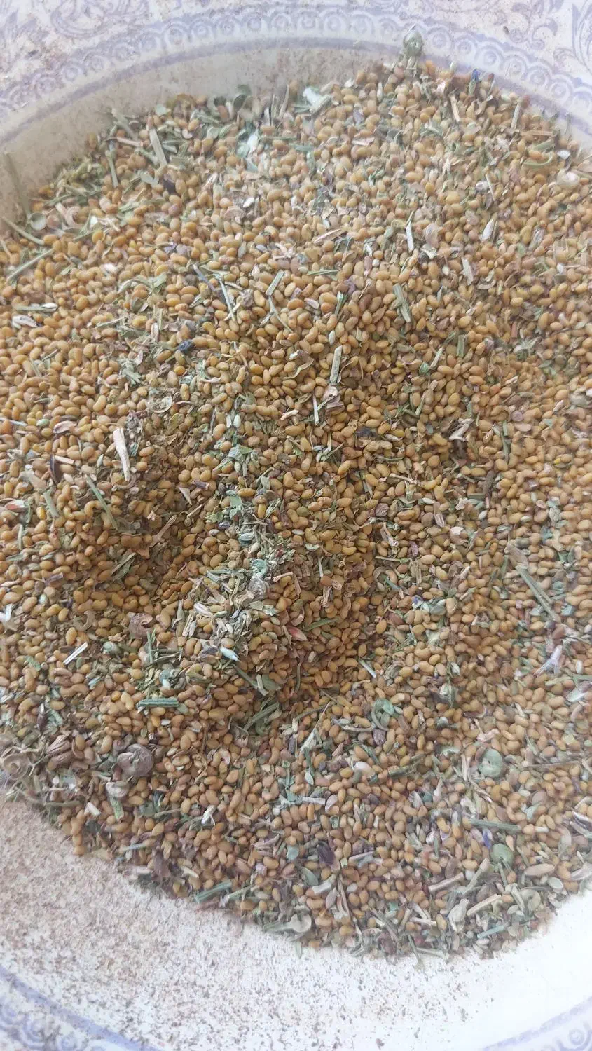 بذر یونجه رنجر  موجود است|خدمات باغبانی و درختکاری|خانمیرزا, |دیوار