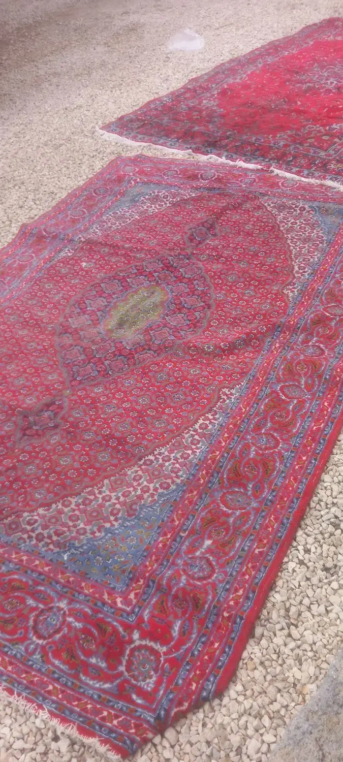 قالی|فرش|سرپل ذهاب, |دیوار