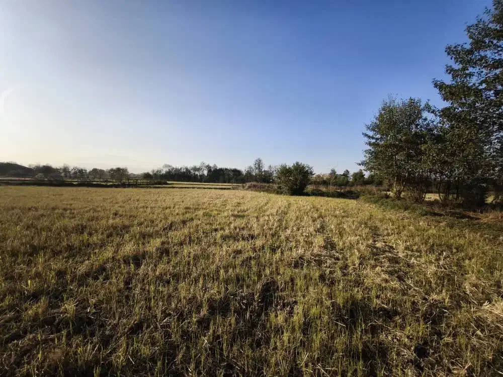 زمین۱۵۰۰متری در شهرستان فومن روستای نوگوراب|فروش زمین و ملک کلنگی|فومن, |دیوار