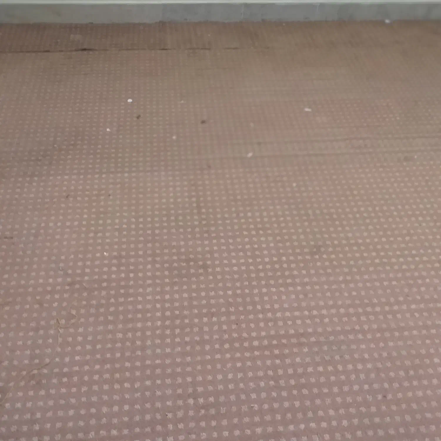 حدود ۲۲ متر موکت کارکرده|موکت|اصفهان, امامزاده اسماعیل|دیوار