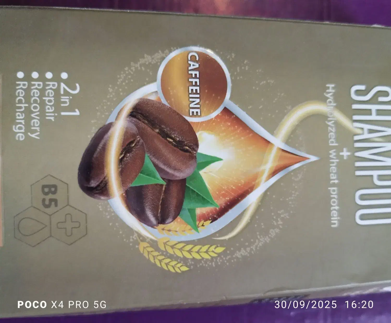 شامپو کافئین|آرایشی، بهداشتی، درمانی|کرمان, |دیوار