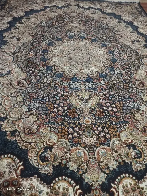 فرش ۱۲متری|فرش|گرگان, |دیوار