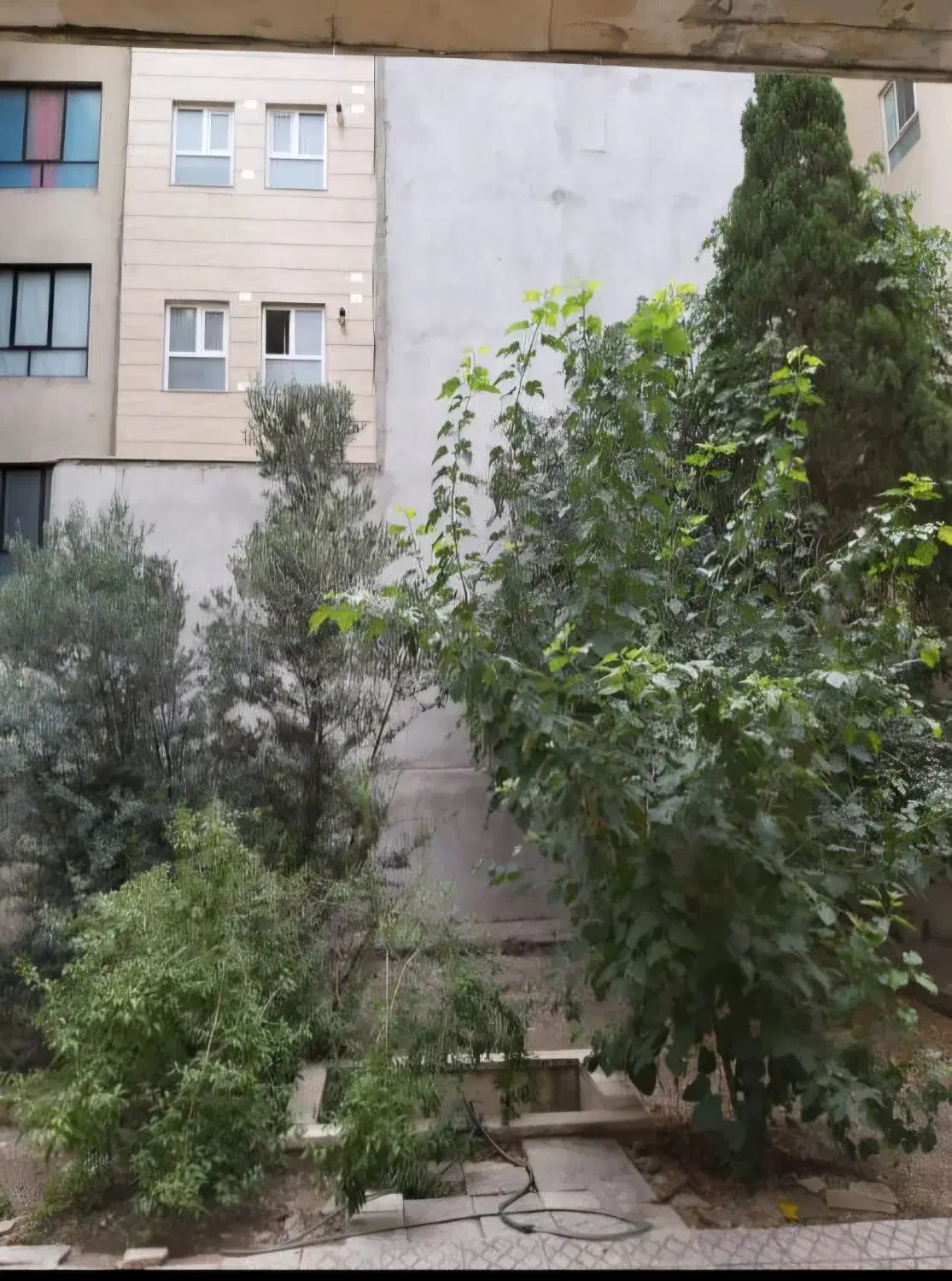 اجاره ویلایی طبقه اول|اجارهٔ خانه و ویلا|تهران, وحیدیه|دیوار