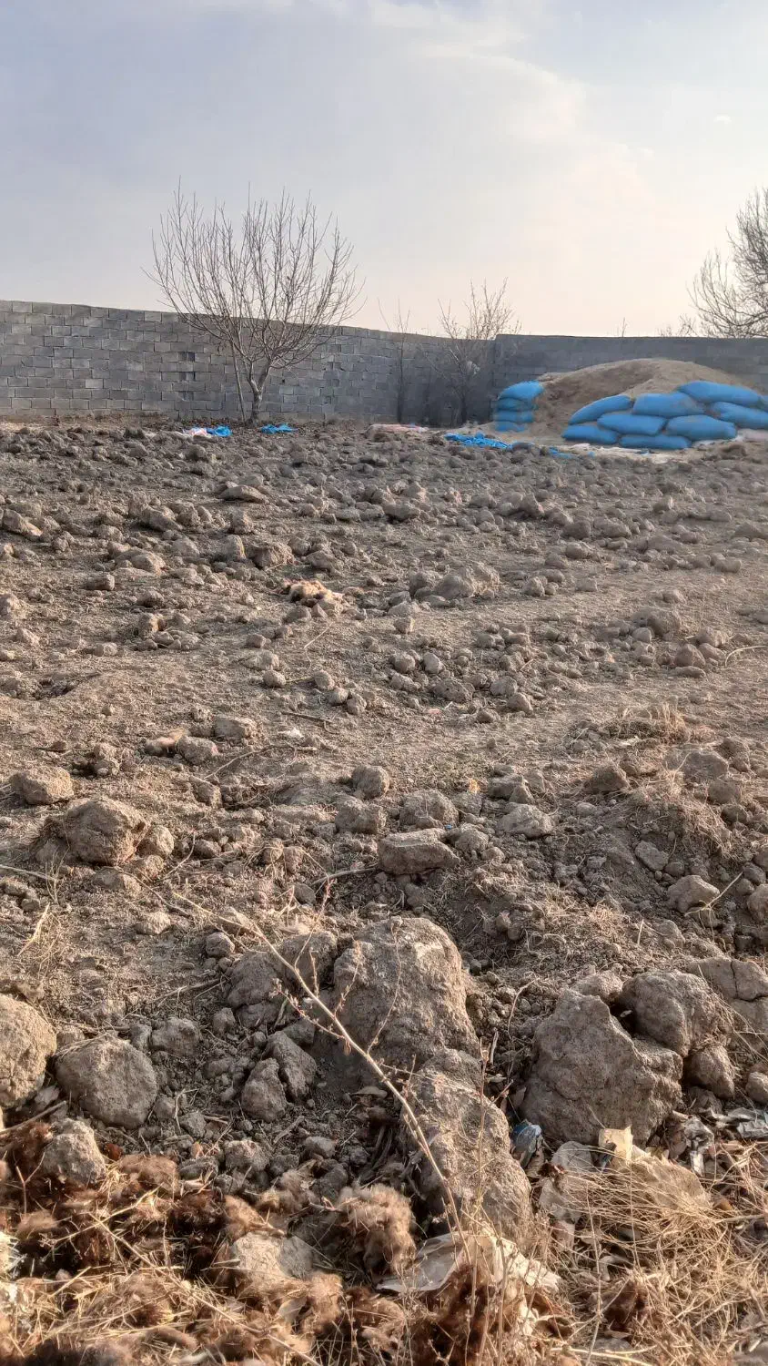 فروش زمین|فروش زمین و ملک کلنگی|ملایر, |دیوار