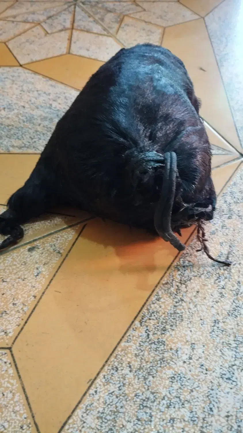 خیک لری|عمده‌فروشی|دزفول, |دیوار