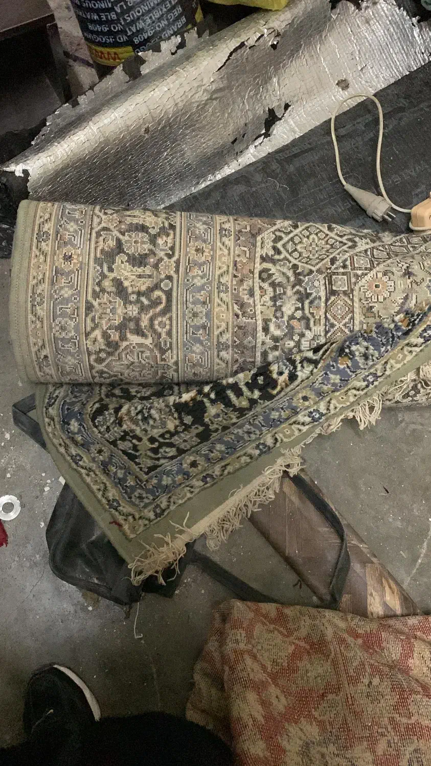 فرش|فرش|چالوس, |دیوار