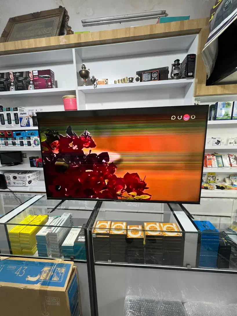 تلوزیون|تلویزیون و پروژکتور|ملایر, |دیوار