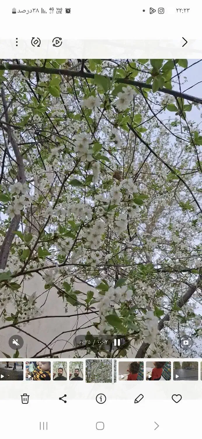 باغچه چهار دیواری|فروش زمین و ملک کلنگی|محمدشهر, عباس آباد|دیوار