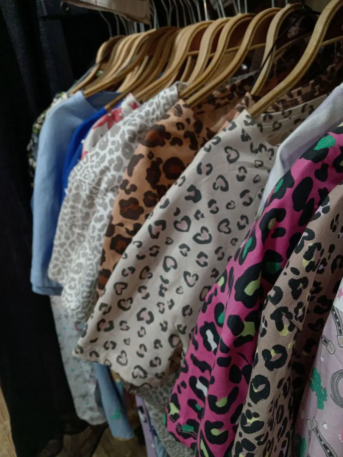 ست پلنگی|لباس|سرخس, |دیوار