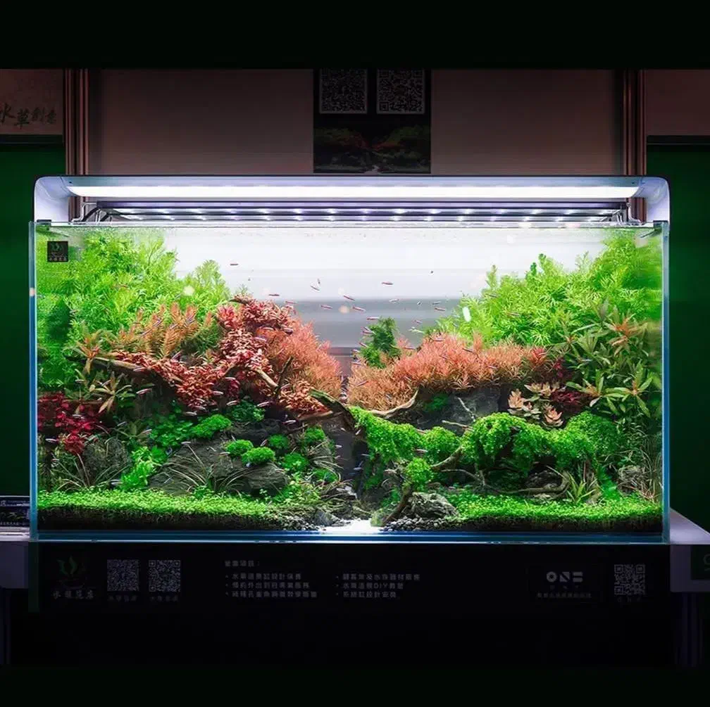 آکواریوم شیشه خم|ماهی|تهران, تهرانسر مرکزی|دیوار