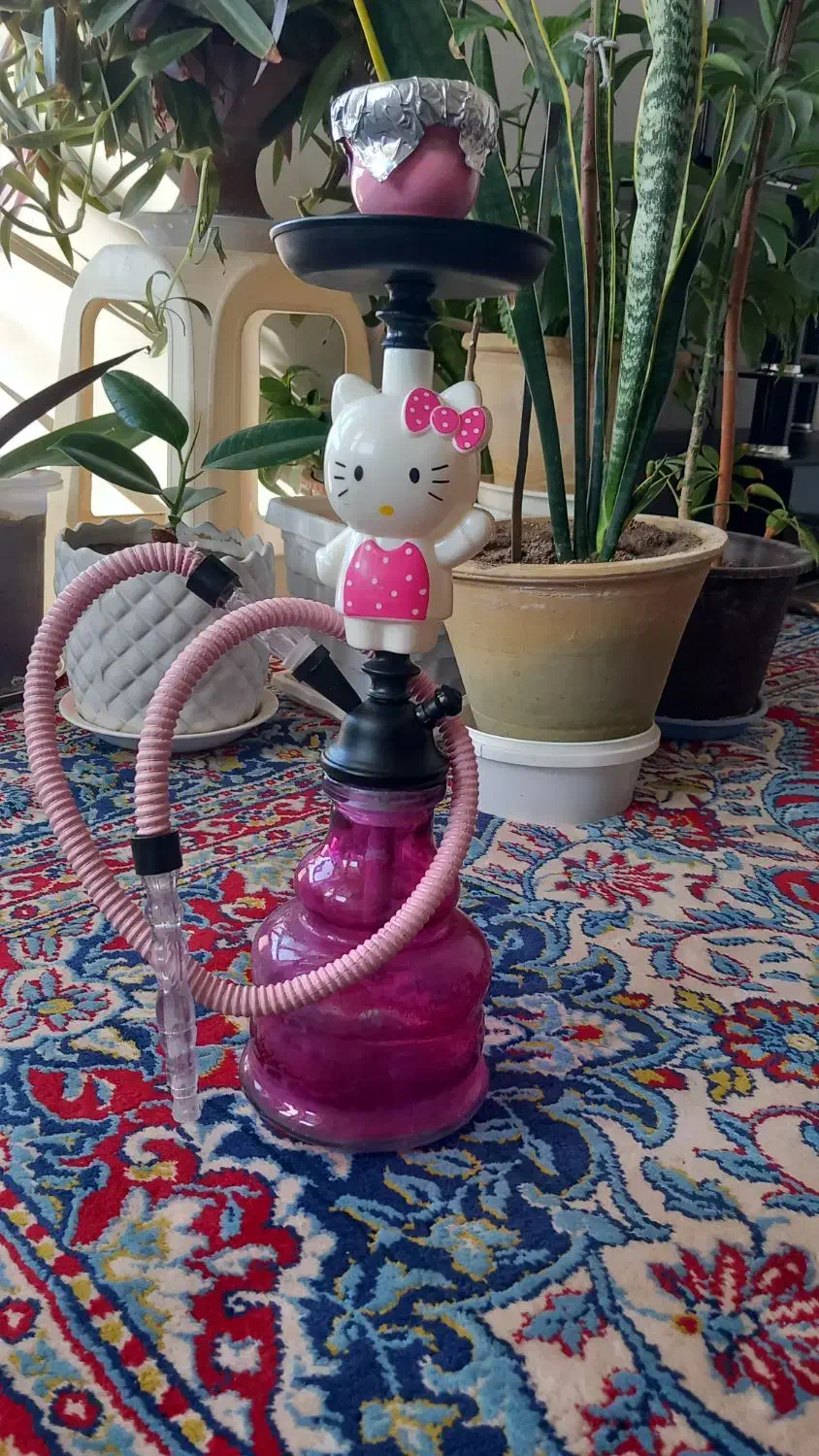 قلیان کیتی|کلکسیون و سرگرمی|ملکان, |دیوار