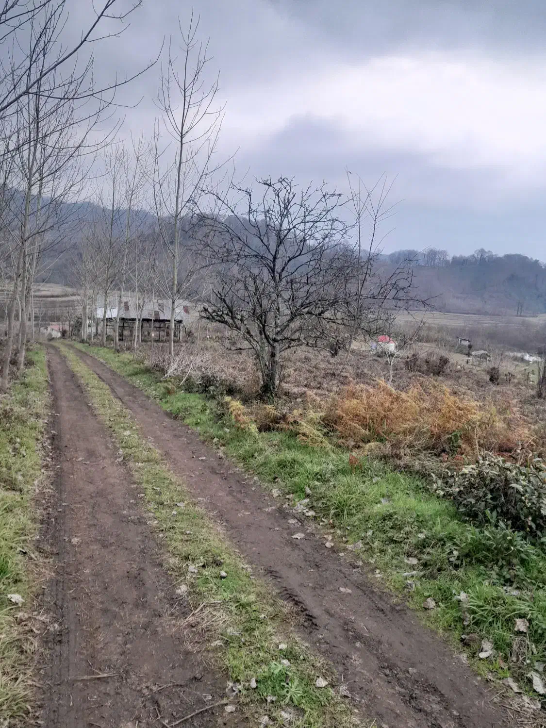 فروش زمین باغی۴۰۰۰متری/بر اسفالت/اطاقور|فروش زمین و ملک کلنگی|اطاقور, |دیوار