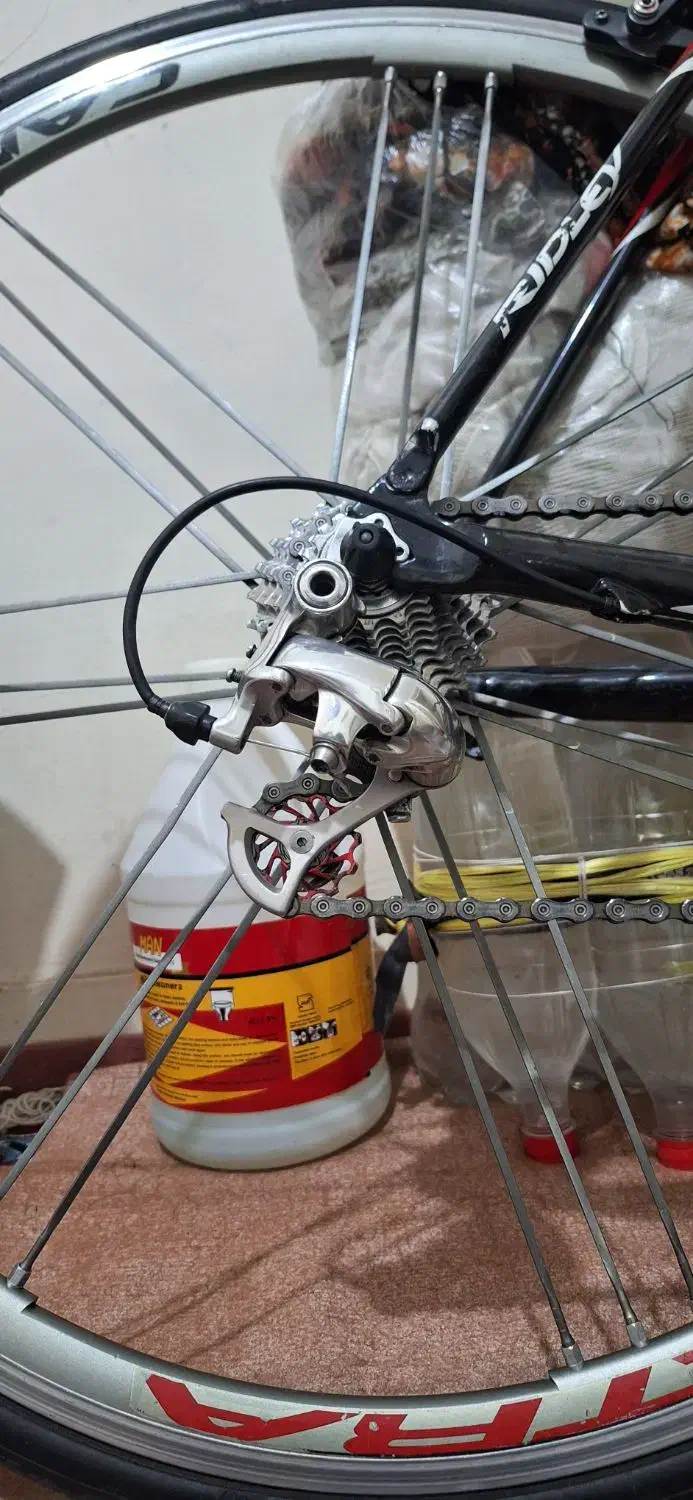 دوچرخه کورسی|دوچرخه، اسکیت، اسکوتر|تهران, ورزشگاه آزادی|دیوار