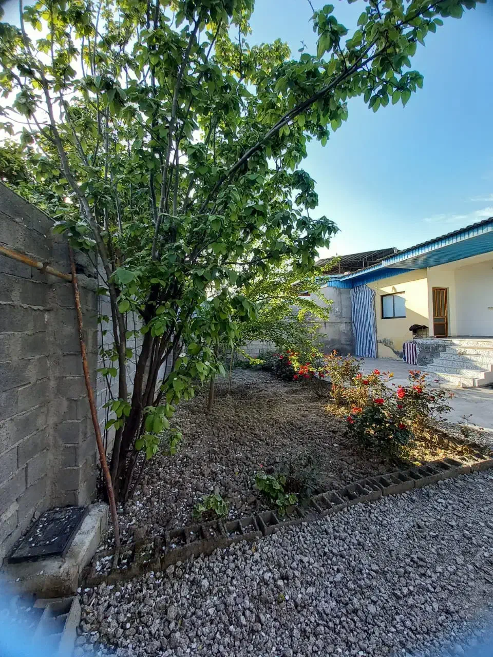 فروش فوری خونه ویلایی۳۳۰مترزمین خودم مالکم|فروش خانه و ویلا|دابودشت, |دیوار