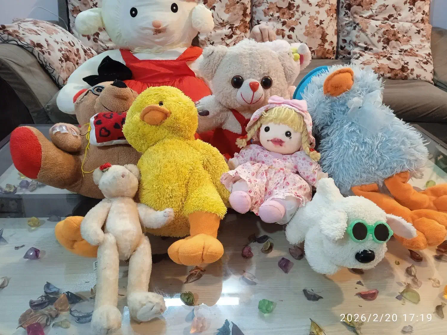 عروسک|اسباب‌بازی بچه|کرمانشاه, |دیوار