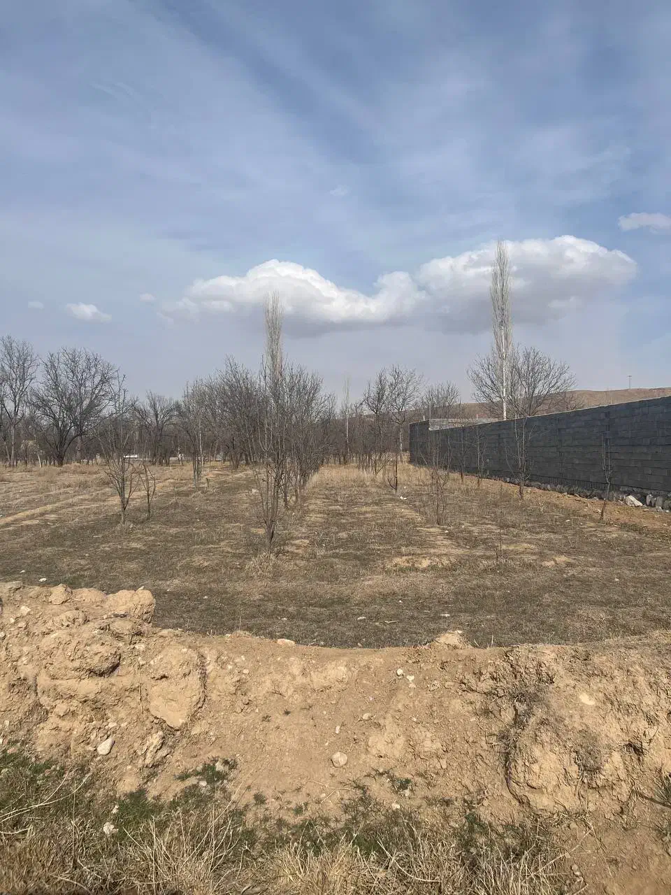 باغ|فروش خانه و ویلا|بجنورد, |دیوار