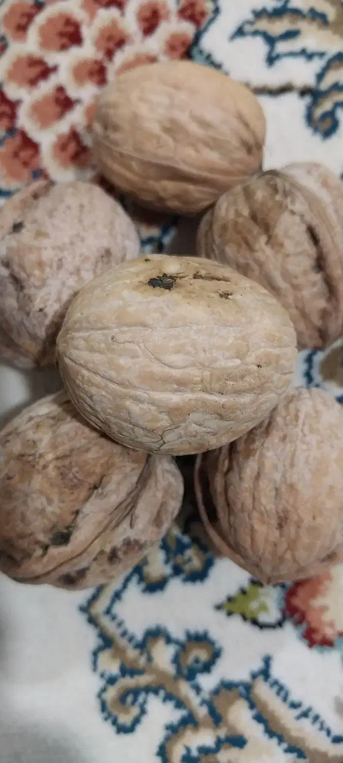 گردوپرمغز|خوردنی و آشامیدنی|بیرانوند, |دیوار