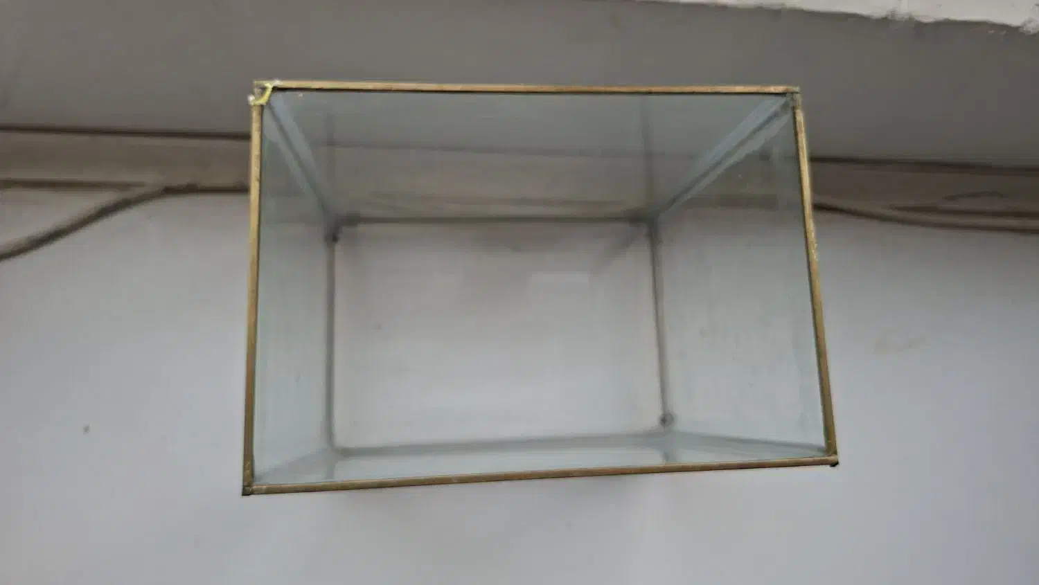 اکواریم ماهی|ماهی|بوشهر, |دیوار