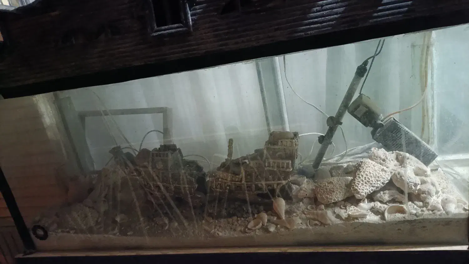 آکواریوم|ماهی|اصفهان, پوریای ولی|دیوار