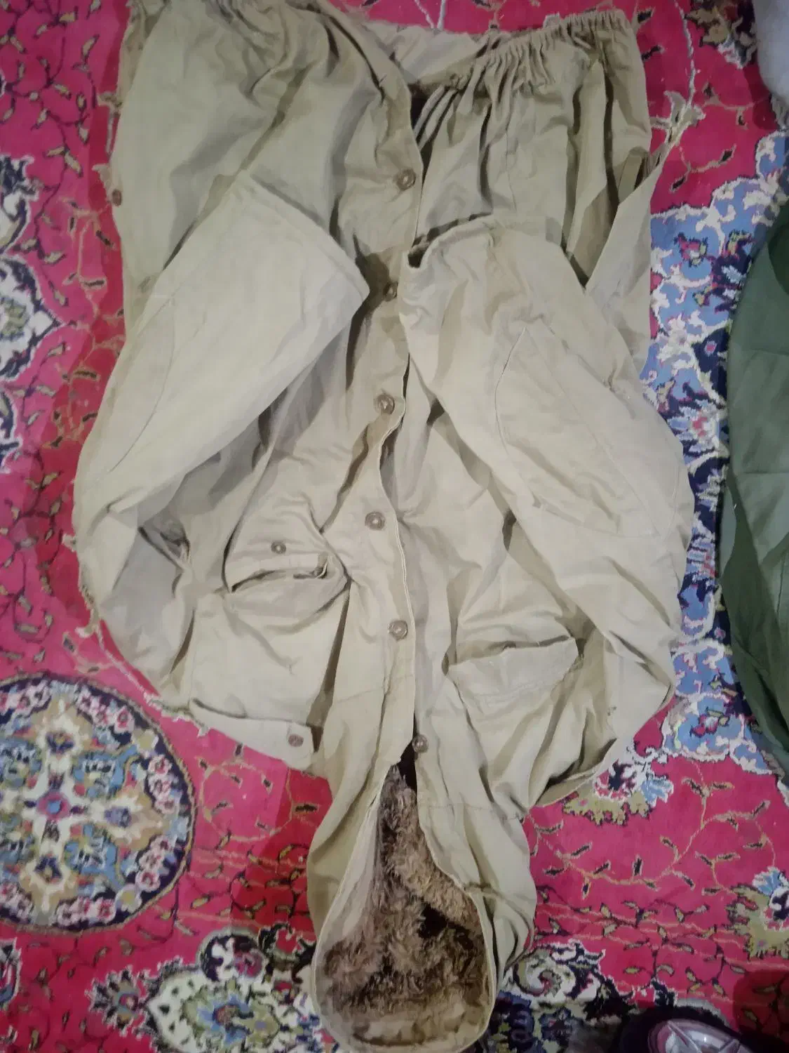 کاپشن کار|لباس|شهرکرد, |دیوار