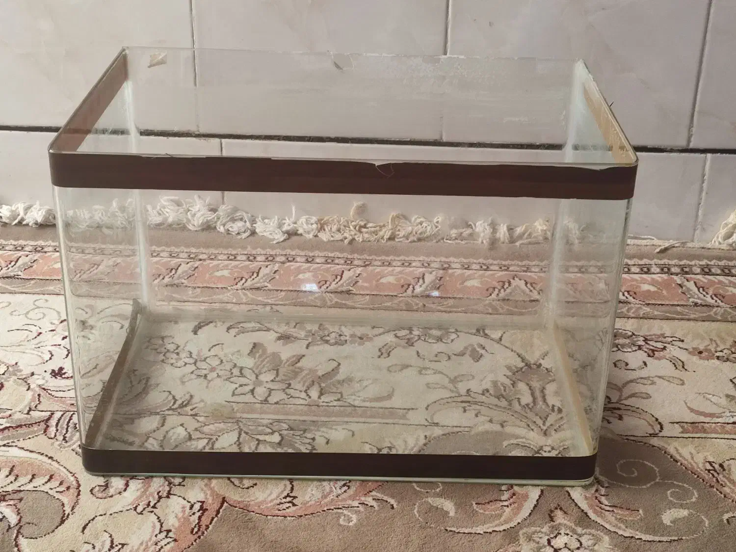 اکواریوم شیشه ایی ماهی|ماهی|کاشان, کارگر|دیوار