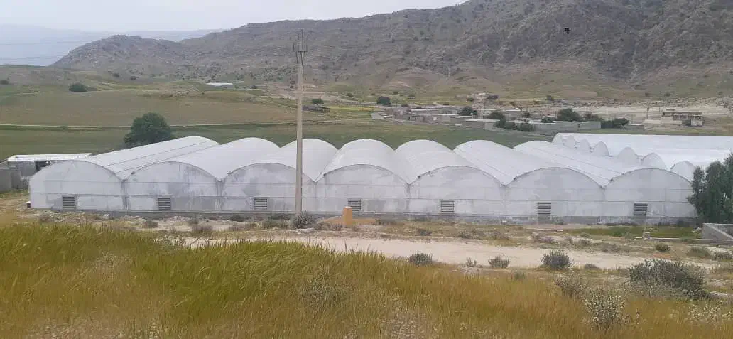 خرید و فروش گلخانه|خدمات پیشه و مهارت|شهرضا, |دیوار