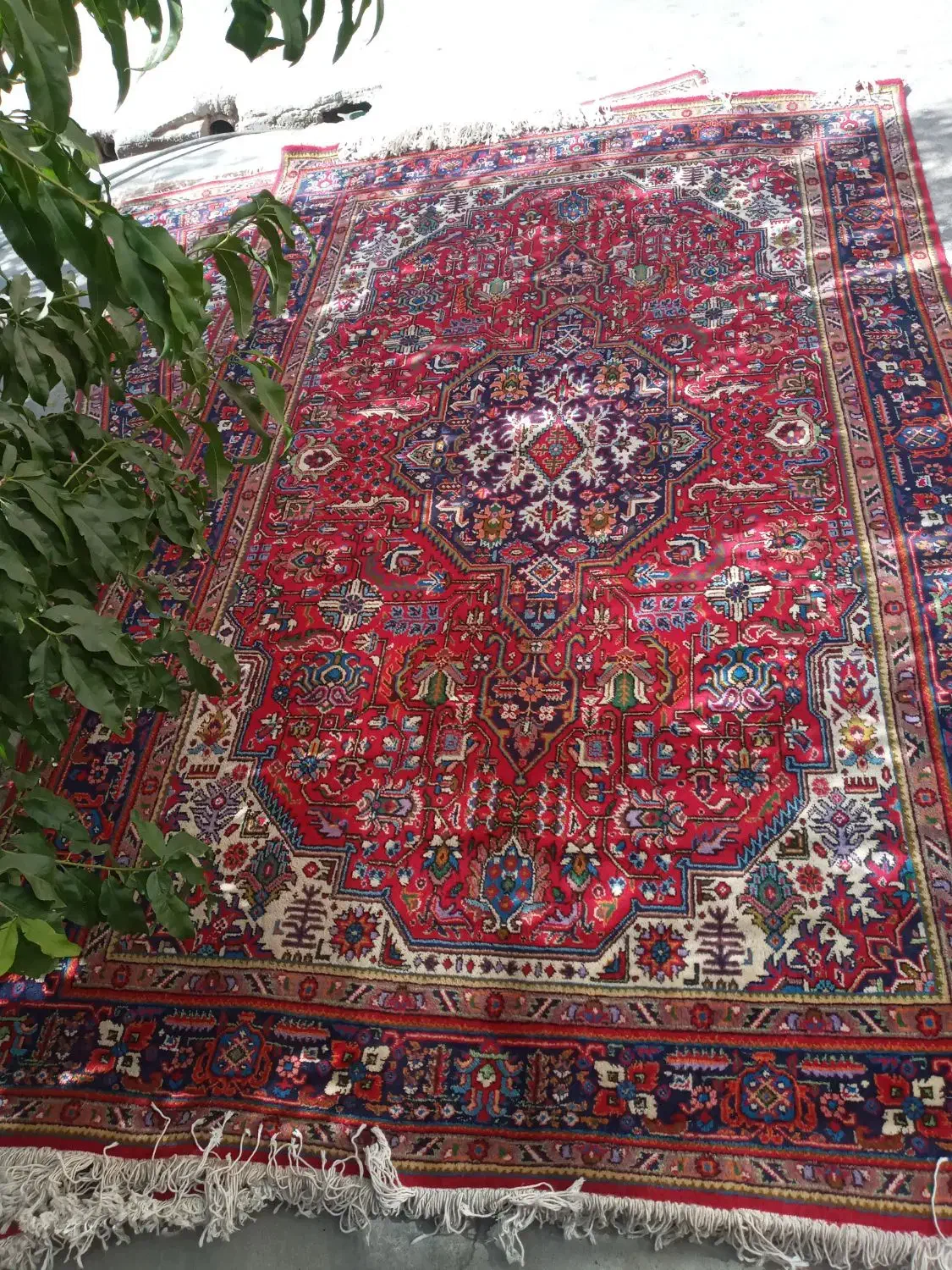 فرش|فرش|ارومیه, |دیوار