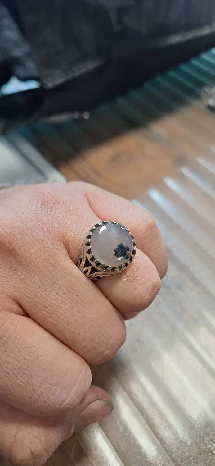 شجر|کلکسیون اشیاء عتیقه|ساوه, |دیوار