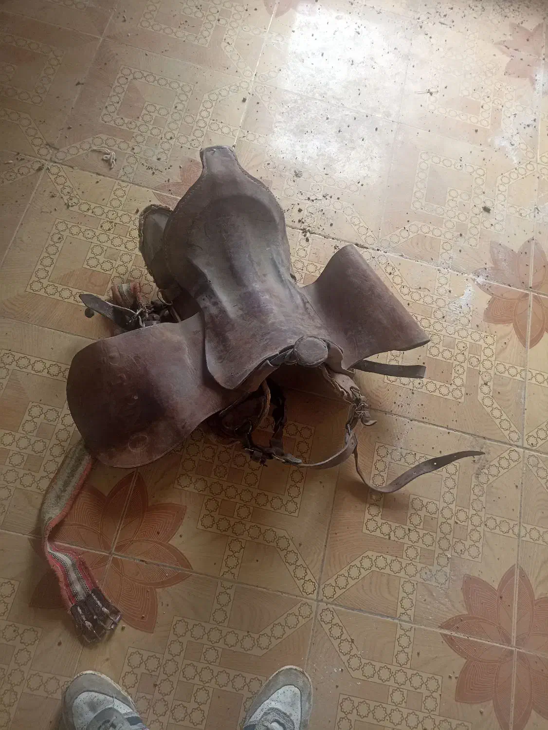 زین اسب|اسب و تجهیزات اسبسواری|هریس, |دیوار