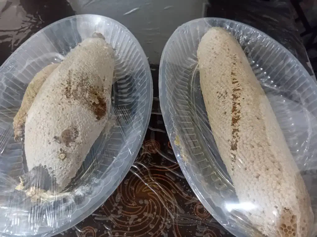 عسل کوهی|خوردنی و آشامیدنی|شیراز, میرزاکوچک خان|دیوار