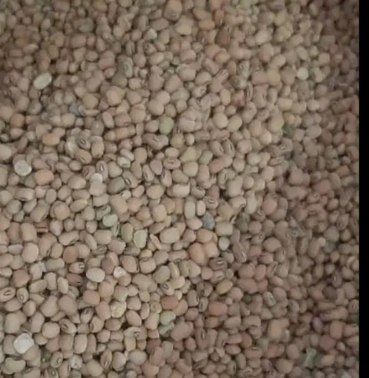 لوبیا آشی|عمدهفروشی|دره شهر, |دیوار