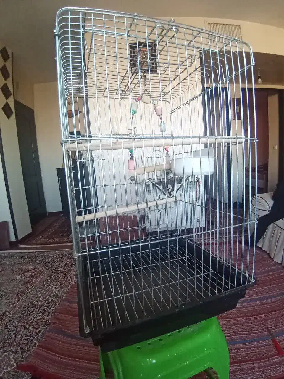 قفس پرنده|لوازم جانبی حیوانات|هشتگرد, شهرک بوستان|دیوار