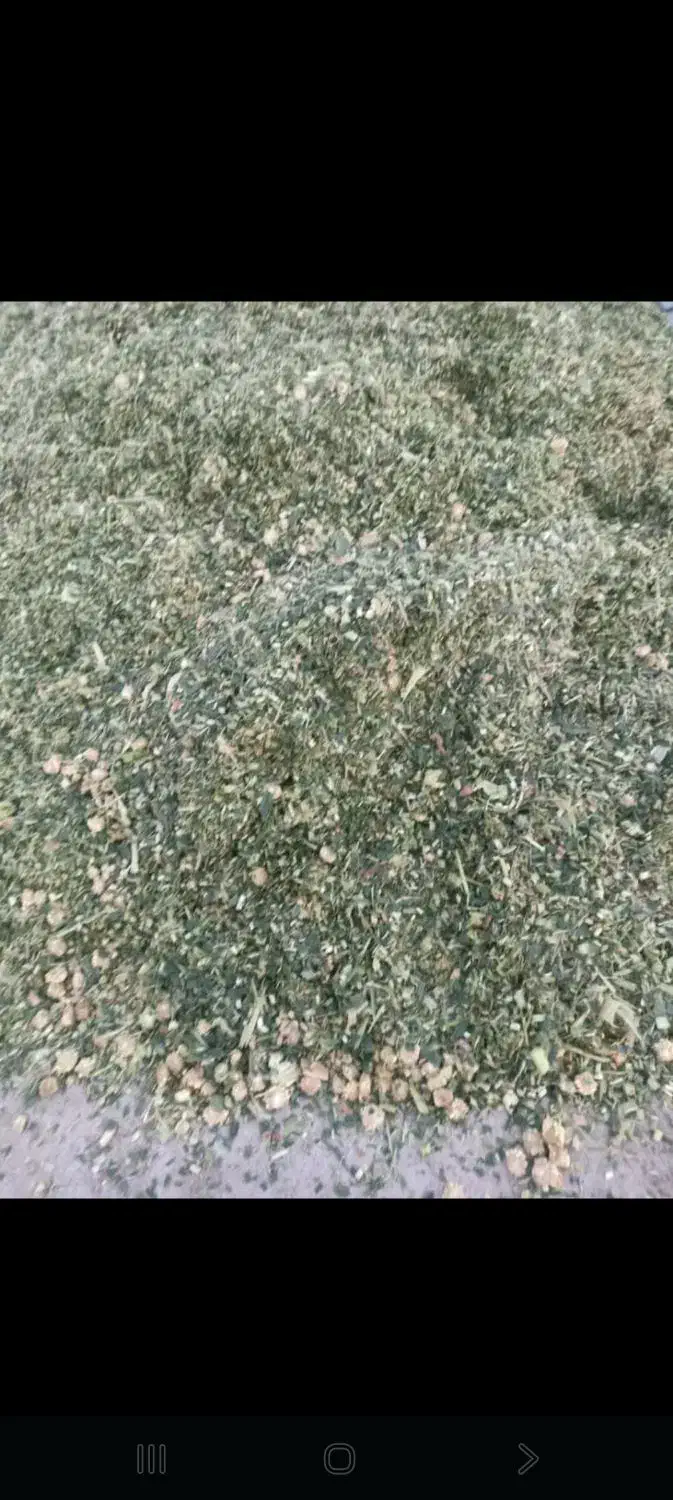 ذرت علوفه ای|عمده‌فروشی|بهبهان, |دیوار