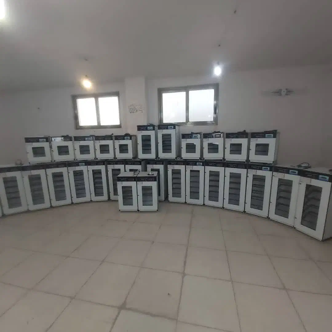 دستگاه جوجه کشی سـنسور قدرتمـند Suisse|لوازم جانبی حیوانات|رفسنجان, |دیوار