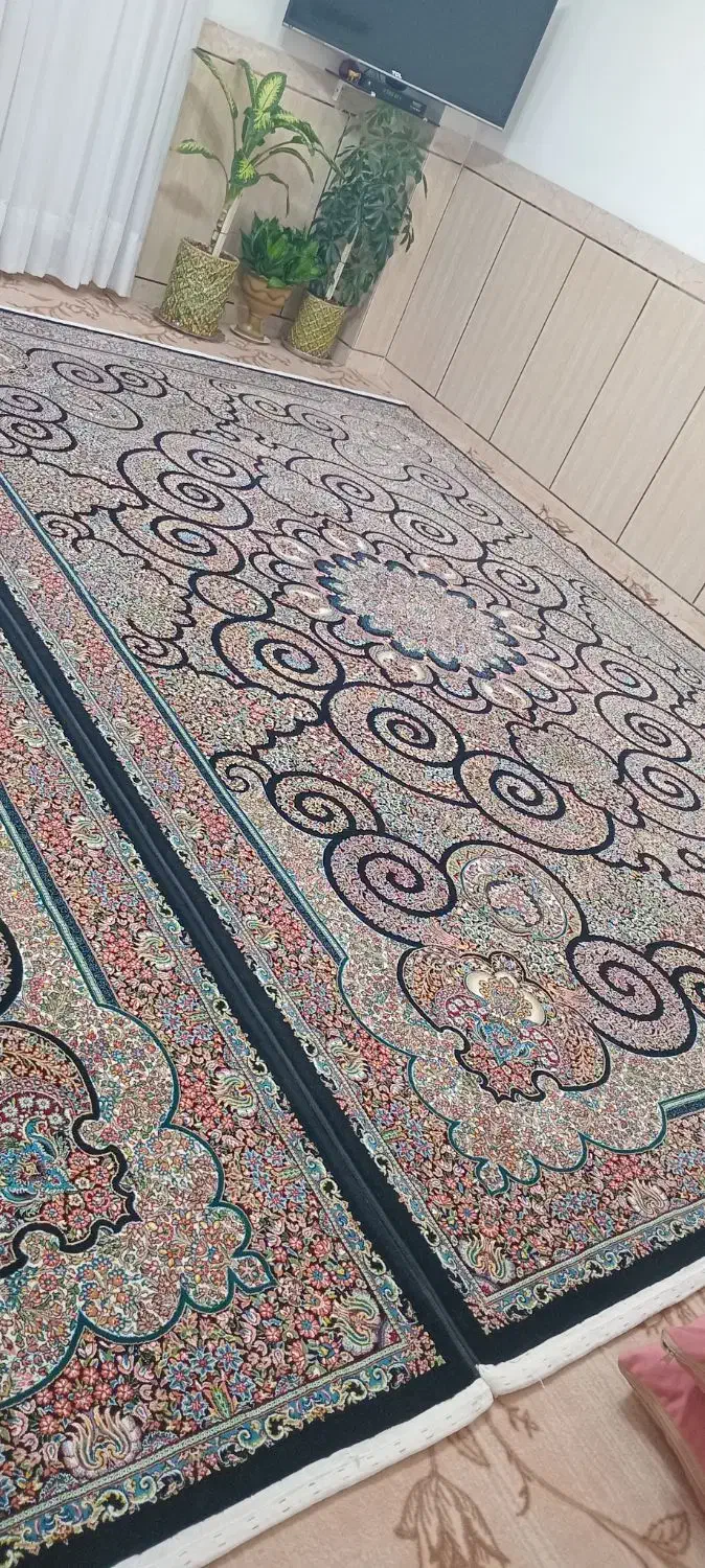فرش سرمه ای|فرش|سقز, |دیوار